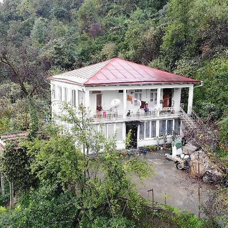 Guest House And Cellar Winery In Ortabatumi Batumi Georgia Ngoại thất bức ảnh