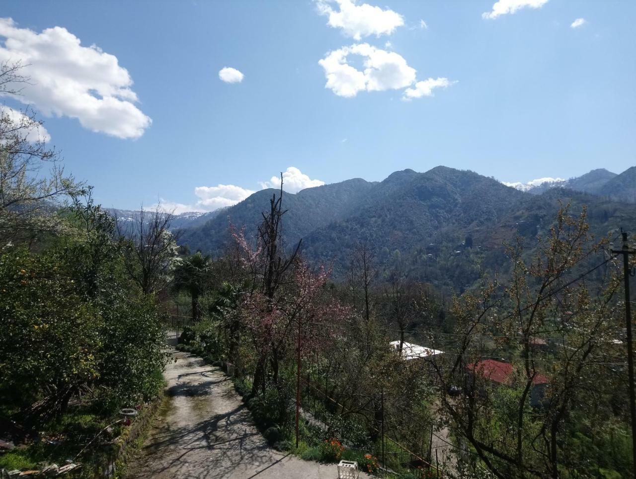 Guest House And Cellar Winery In Ortabatumi Batumi Georgia Ngoại thất bức ảnh