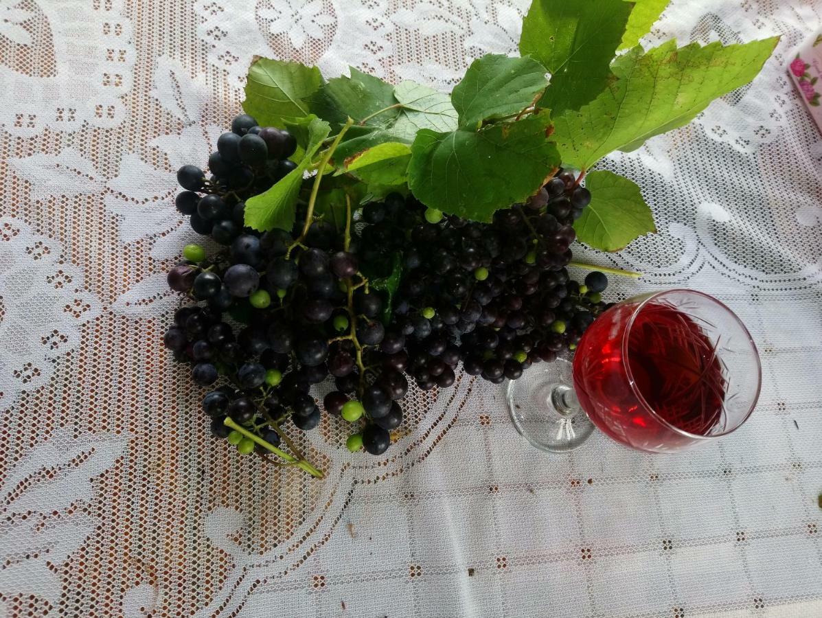 Guest House And Cellar Winery In Ortabatumi Batumi Georgia Ngoại thất bức ảnh