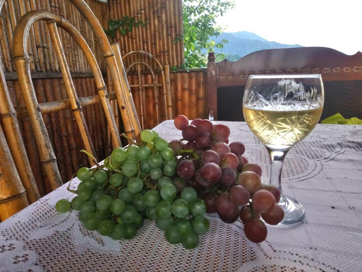 Guest House And Cellar Winery In Ortabatumi Batumi Georgia Ngoại thất bức ảnh