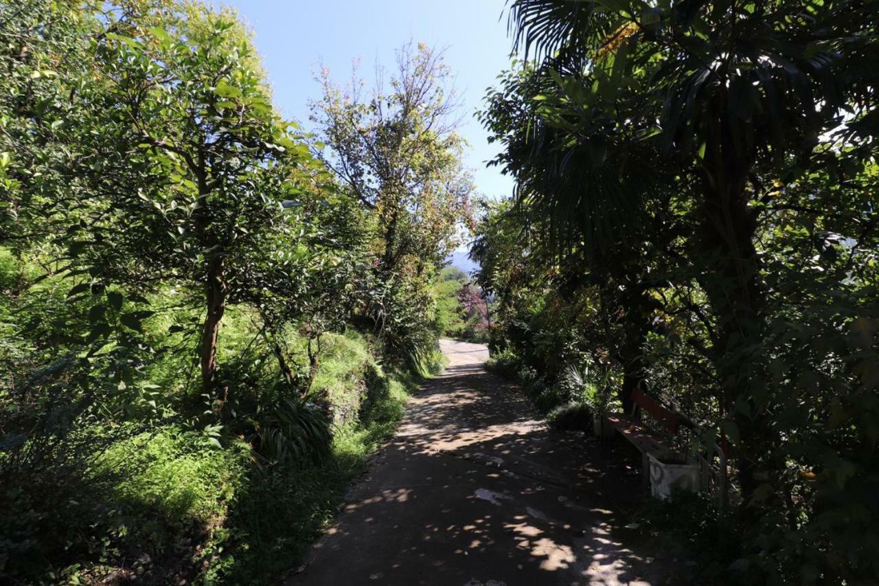 Guest House And Cellar Winery In Ortabatumi Batumi Georgia Ngoại thất bức ảnh
