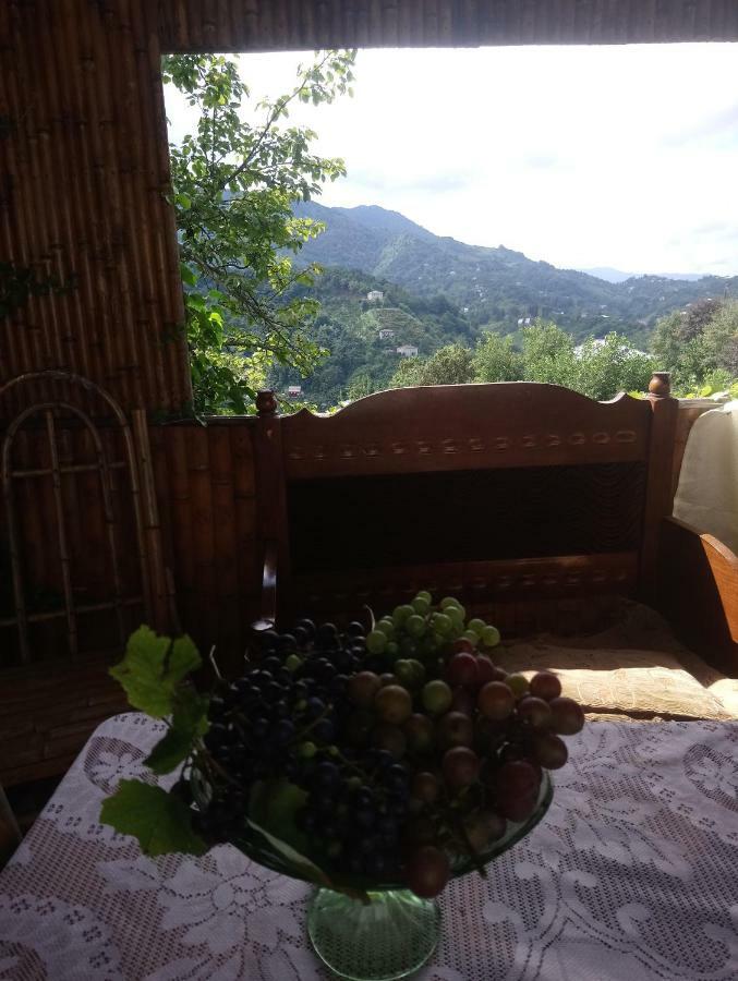 Guest House And Cellar Winery In Ortabatumi Batumi Georgia Ngoại thất bức ảnh